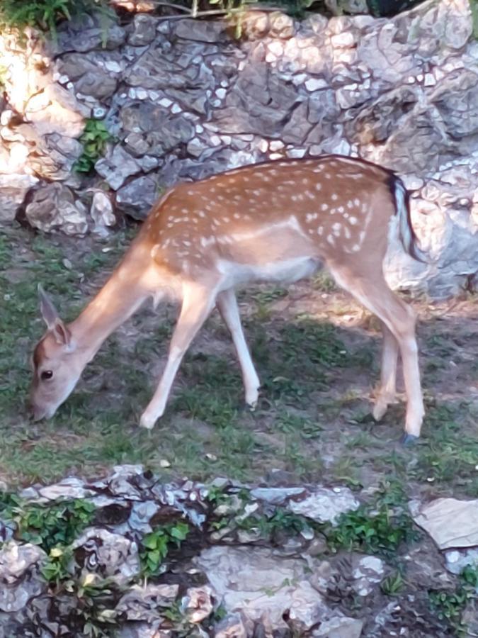 Villa Ghiron Torriglia Dış mekan fotoğraf