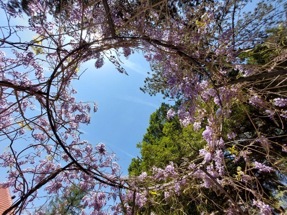 Villa Ghiron Torriglia Dış mekan fotoğraf